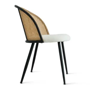 Upholstered Rattan Dining Chair